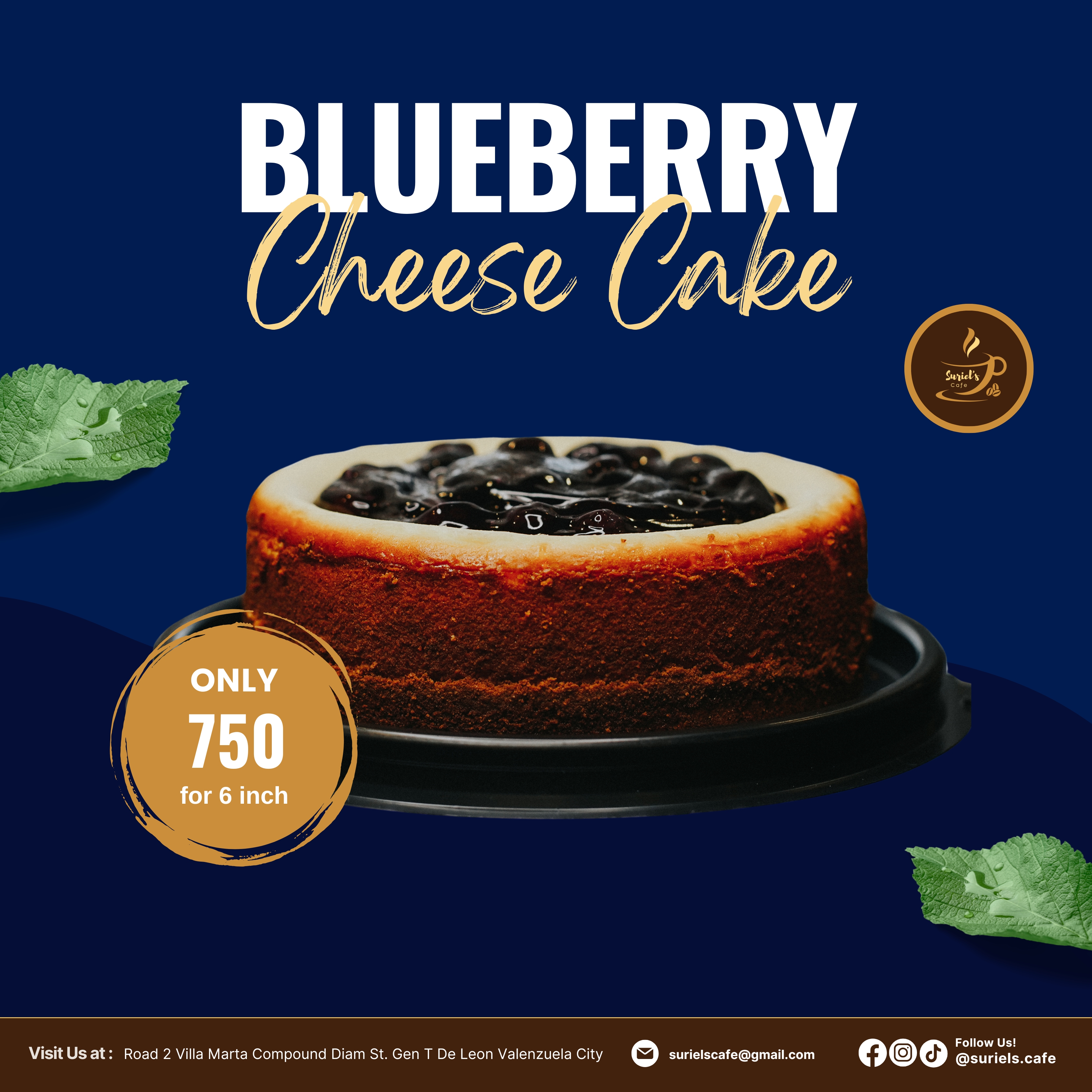 Blueberry Cheesecake